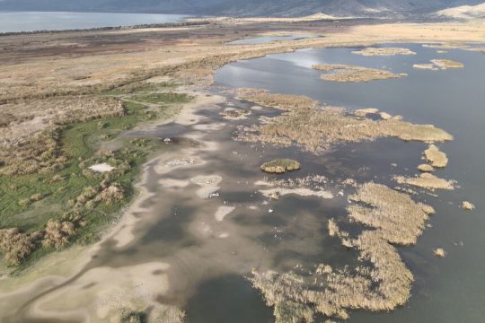Μικρή Πρέσπα
